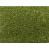 Noch 07118 , Zestaw dzikiej trawy - Średnio zielona , 9mm/50g